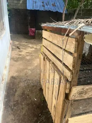 Pigeon Cage