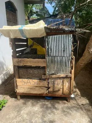 Pigeon Cage