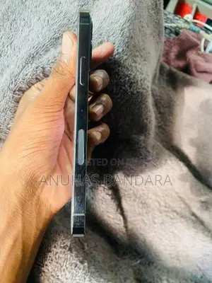 Apple iPhone 12 Pro (Used)