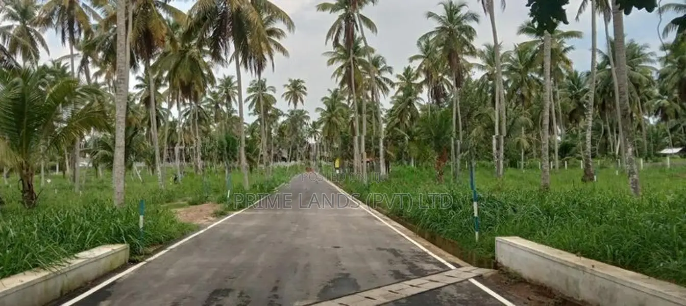 නයිවල දිව්ලපිටිය ප්‍රධාන පාරට මුහුණලා අගනා ඉඩමක් විකිණීමට