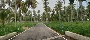 නයිවල දිව්ලපිටිය ප්‍රධාන පාරට මුහුණලා අගනා ඉඩමක් විකිණීමට