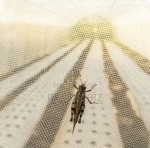 කෘමි ප්‍රතිරෝධි දැල්