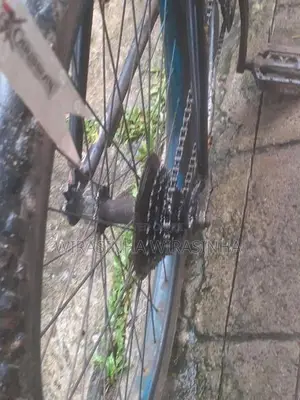 Bicycle