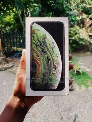 Apple iPhone X (Used)