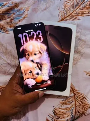 Apple iPhone 16 Pro Max 256GB (Used)