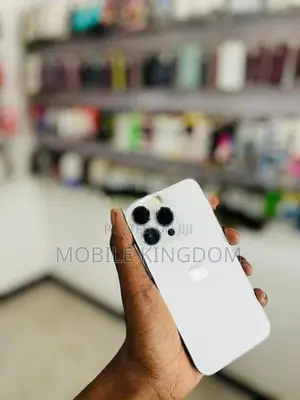 Apple iPhone 13 Pro 256GB (Used)