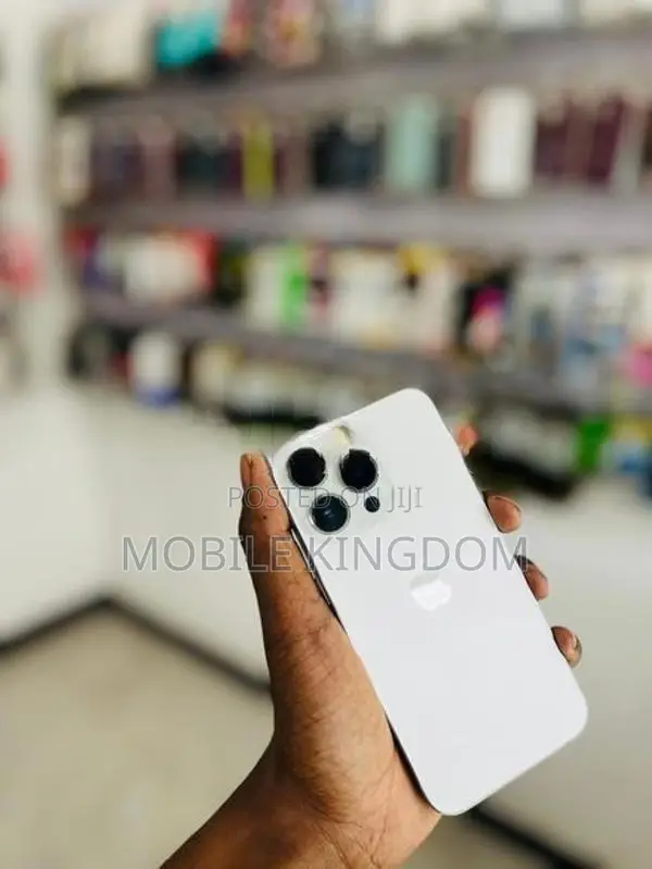 Apple iPhone 13 Pro 256GB (Used)