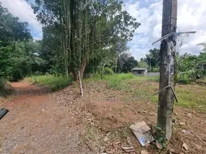 Land for sale in veyangoda