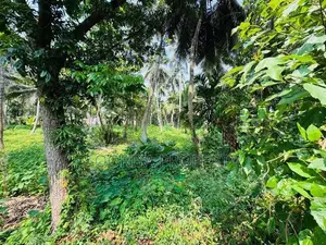 Residential Land for Sale in Piliyandala Dampe