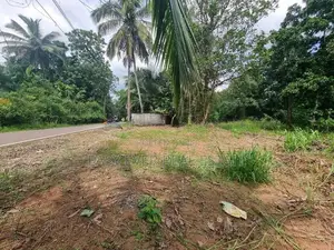 Land for sale in veyangoda