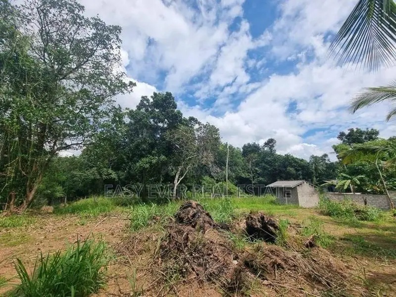 Land for sale in veyangoda