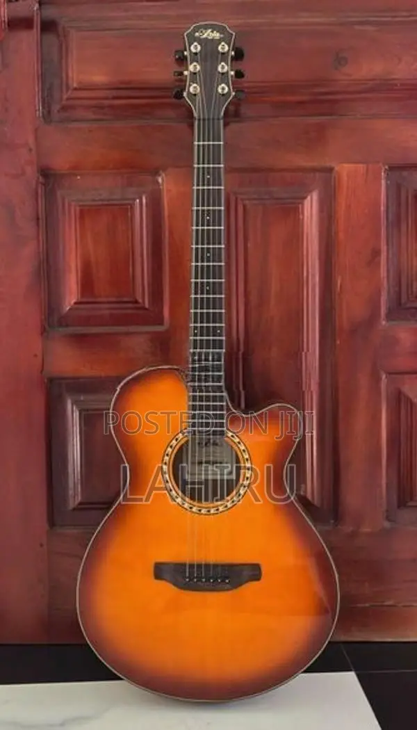Aria TG-1 LVS Acoustic Guitar