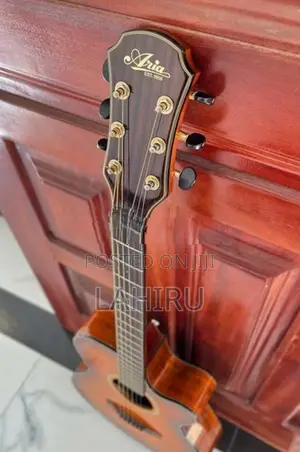 Aria TG-1 LVS Acoustic Guitar