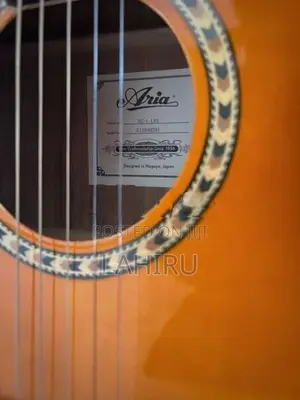 Aria TG-1 LVS Acoustic Guitar