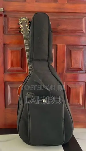 Aria TG-1 LVS Acoustic Guitar