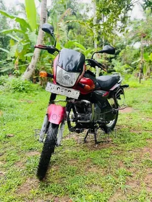 Bajaj Platina 100 2010