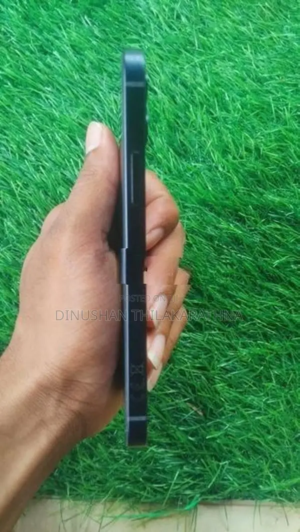 Apple iPhone 12 (Used)
