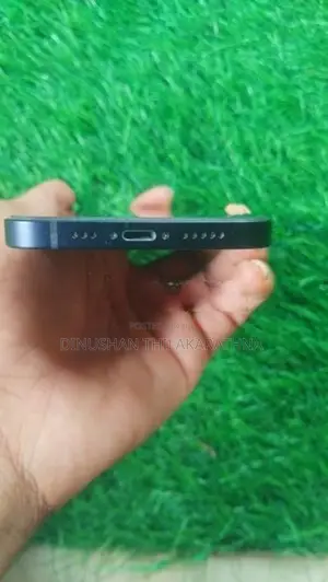 Apple iPhone 12 (Used)