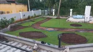 Australian Grass