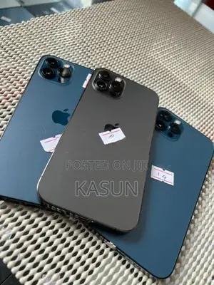 Apple iPhone 12 Pro Max (Used)