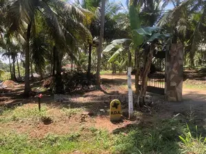 අඹගස්වැව බිම් කොටසක්