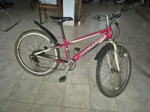 Ignitor Bicycle