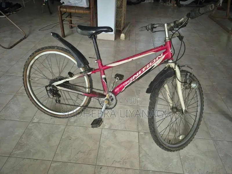 Ignitor Bicycle
