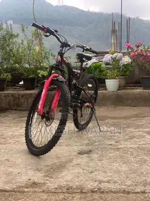 Lumala Bicycle