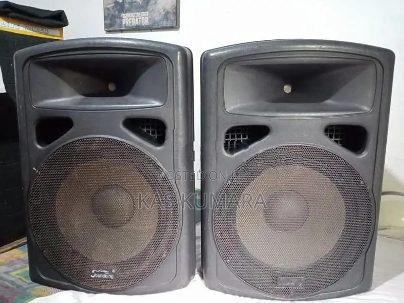 Soundking 15" Studio Speakers
