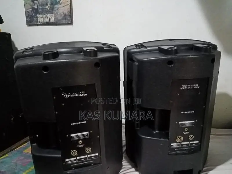 Soundking 15" Studio Speakers