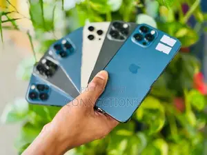 Apple iPhone 12 Pro Max 256GB (Used)