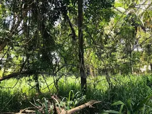 Butthala Land for Sale
