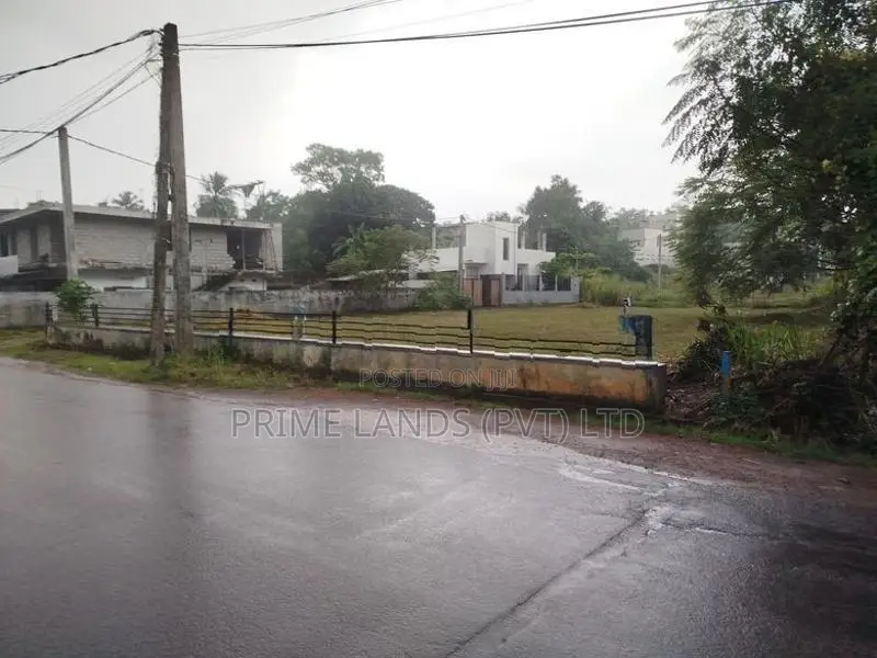 පිලියන්දල මඩපාත පාරට මුහුනලා බිම් කොටස් විකිණීමට