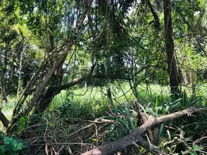 Butthala Land for Sale