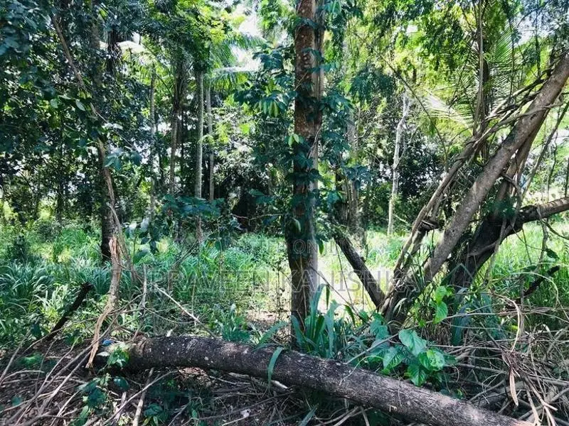 Butthala Land for Sale
