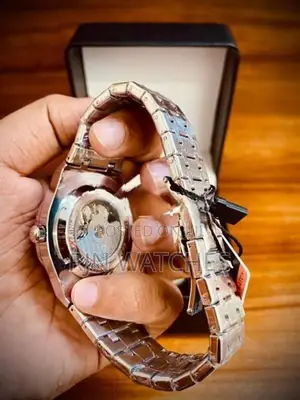 Binbond Brand | Automatic Movement Watch