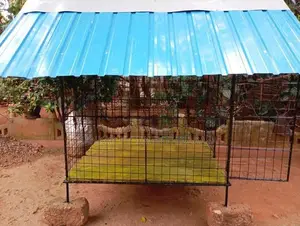 நாய் கூடு