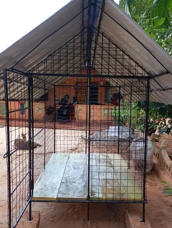 நாய் கூடு