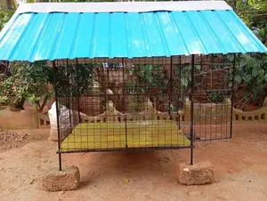 நாய் கூடு