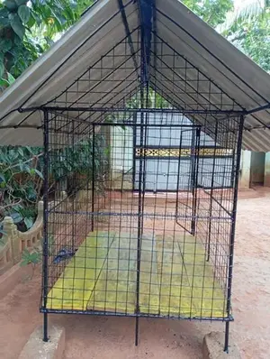 நாய் கூடு
