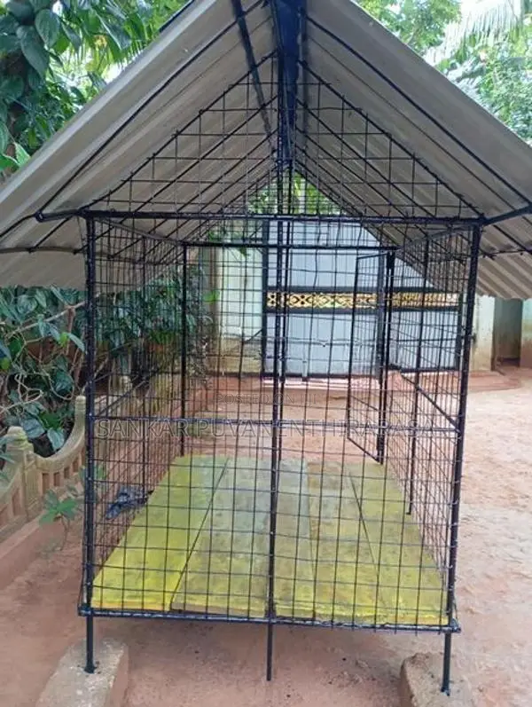 நாய் கூடு