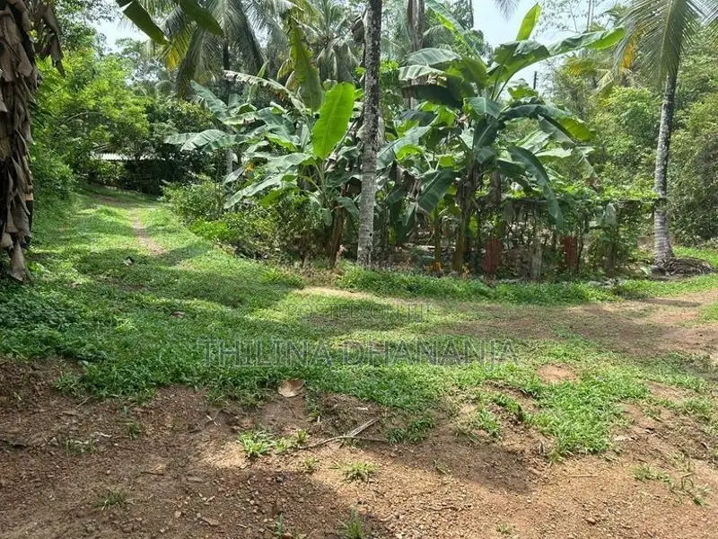 Land for Sale Matara
