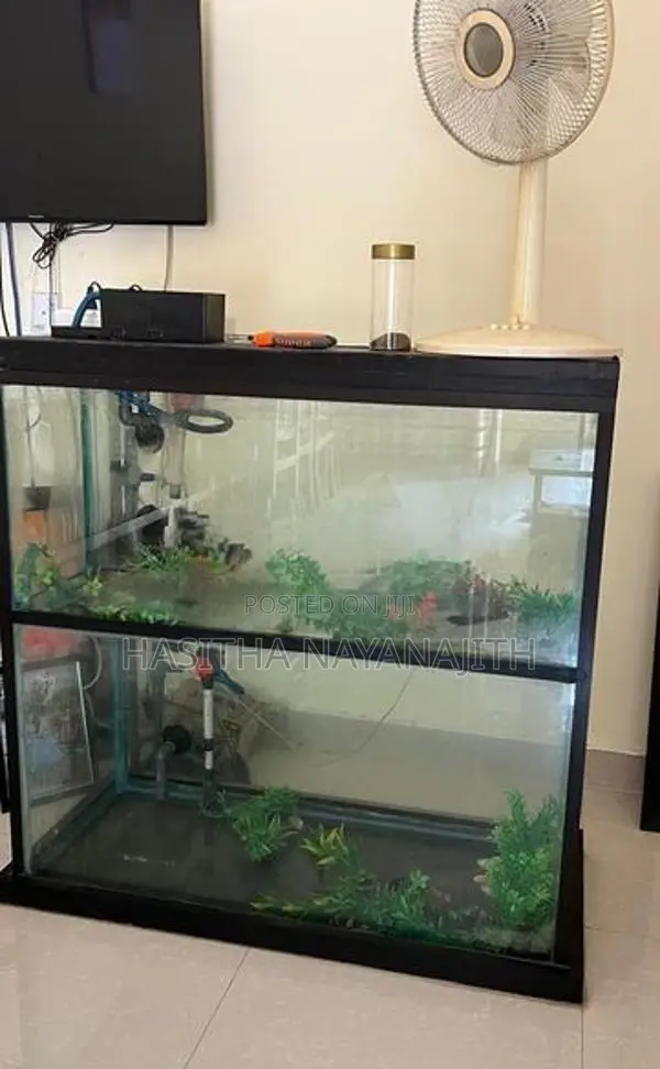 Fish Tank