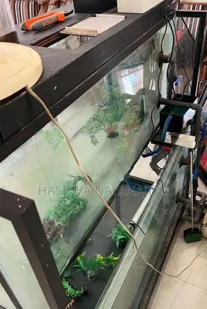 Fish Tank