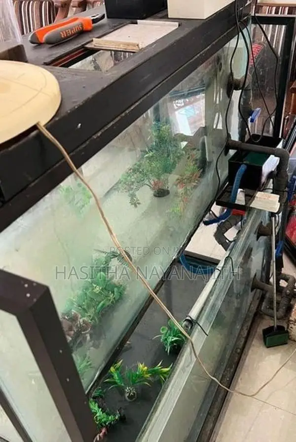 Fish Tank