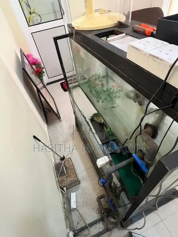 Fish Tank