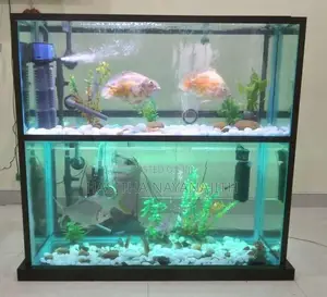 Fish Tank