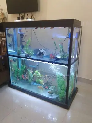 Fish Tank