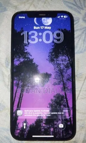 Apple iPhone 12 Pro 256GB (Used)