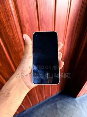 Apple iPhone 12 (Used)